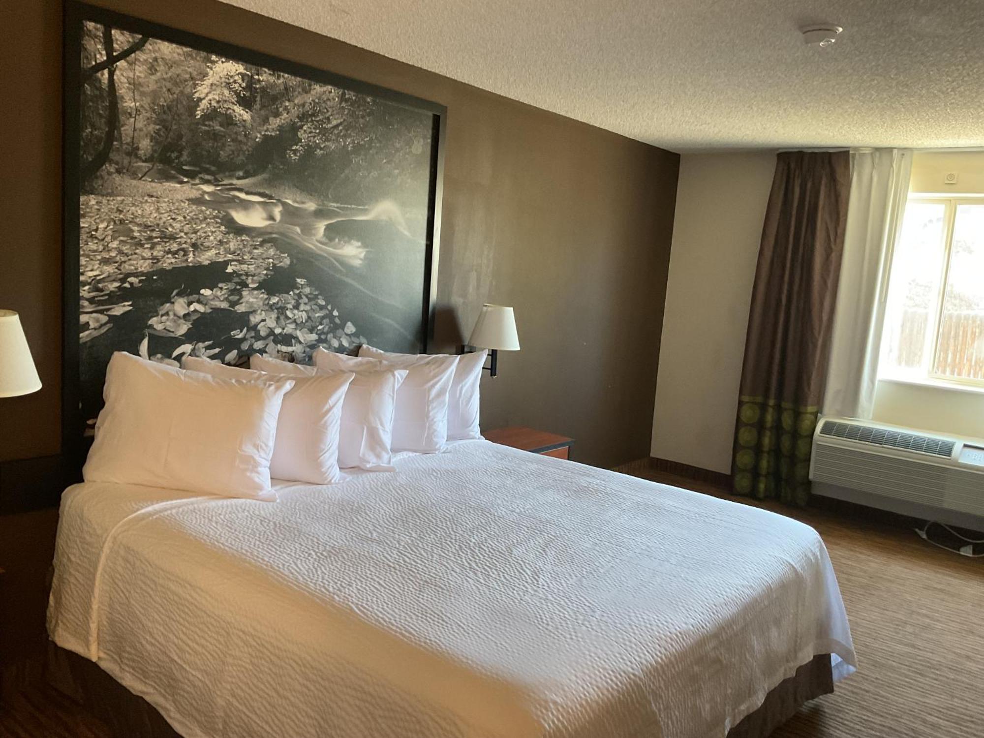 Motel Super 8 By Wyndham Colorado Springs Airport Extérieur photo